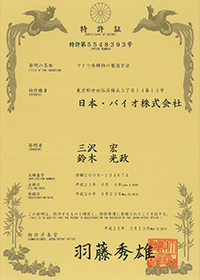 特許 第5548393号