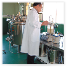 小型発酵槽を用いた乳酸菌の培養研究