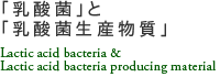 「乳酸菌」と「乳酸菌生産物質」